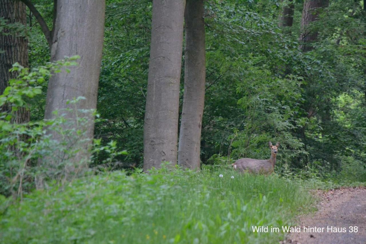 Huis 38 Seepark Kirchheim Kirchheim  Kültér fotó